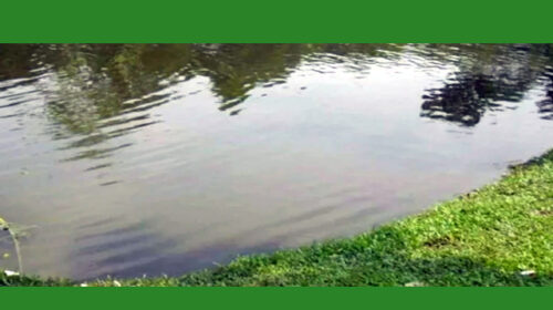 মাছ ধরতে গিয়ে পানিতে ডুবে প্রাণ হারিয়েছেন এক যুবক