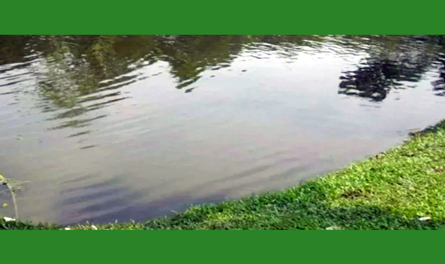 মাছ ধরতে গিয়ে পানিতে ডুবে প্রাণ হারিয়েছেন এক যুবক