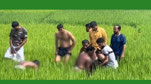 বিদ্যুতের ছেঁড়া তারে জড়িয়ে দুই চাচাতো ভাইয়ের মৃ ত্যু