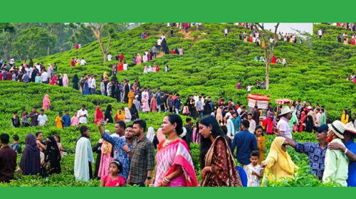 হয়রানির শিকার হলে স্থানীয় থানা অথবা '৯৯৯'-এ অভিযোগ জানাতে অনুরোধ