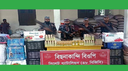 সীমান্ত এলাকায় অভিযান