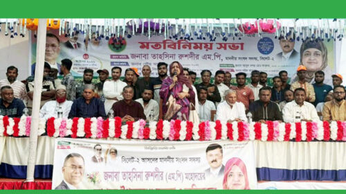 সীমিত সম্পদ দিয়েই পর্যায়ক্রমে এলাকার সার্বিক উন্নয়ন করা হবে-লুনা