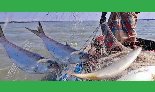 ১১১ এমপিকে নির্দেশনা