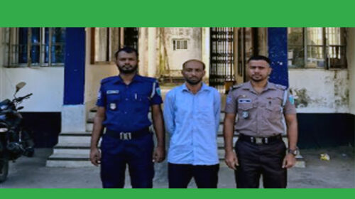 আন্ত: জেলা ডাকাত দলের এক সদস্যকে গ্রেফতার