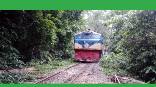 কালনী এক্সপ্রেস ট্রেনের ছাদ থেকে ধাক্কা দিয়ে এক যুবককে ফেলে দেওয়ার অভিযোগ
