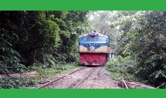 কালনী এক্সপ্রেস ট্রেনের ছাদ থেকে ধাক্কা দিয়ে এক যুবককে ফেলে দেওয়ার অভিযোগ
