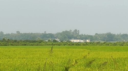 সাপাহার সীমান্তে চারজনকে পুশইনের চেষ্টা, বিজিবির বাধায় ব্যর্থ