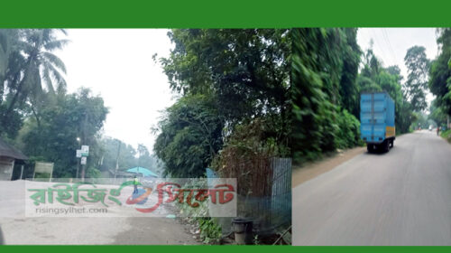 জৈন্তাপুর সীমান্তে চোরাচালান নিয়ে নানা অভিযোগ, প্রশ্নের মুখে নজরদারি