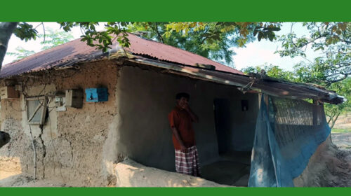 সাপাহারে জরাজীর্ণ মাটির মসজিদ, বৃষ্টিতে ভোগান্তিতে মুসল্লিরা
