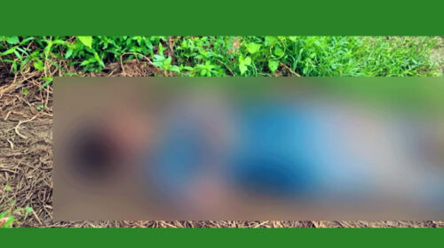হাত-পা বাঁধা এক গৃহবধূর মরদেহ উদ্ধার